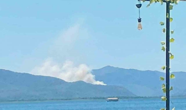 Ortaca'da orman yangını