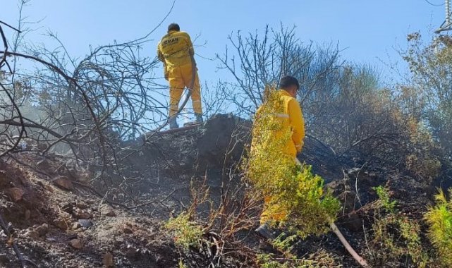 Osmaniye'de orman yangını, büyümeden söndürüldü