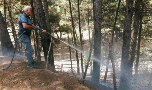 Osmaniye'de orman yangını