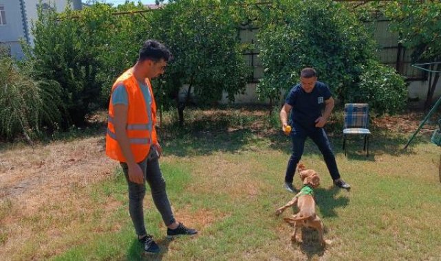Osmaniye'de, şiddete maruz kalan köpek sahiplendirildi