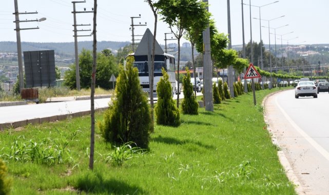 Osmaniye'nin giriş-çıkış güzergahı güzelleşiyor