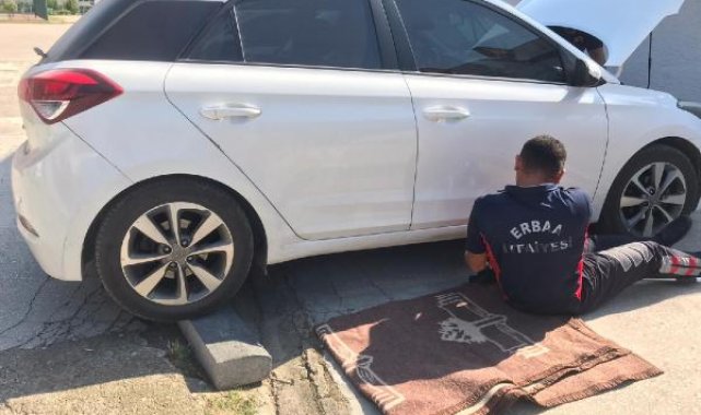 Otomobilin motorundan çıkarılan kedi, itfaiye aracının altına girdi