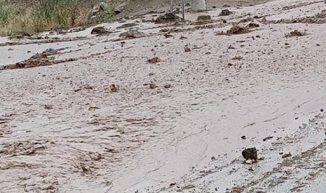Özalp'te sağanak sele neden oldu