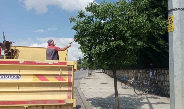 Park bahçeler, Düzce'yi ilmek ilmek işliyor