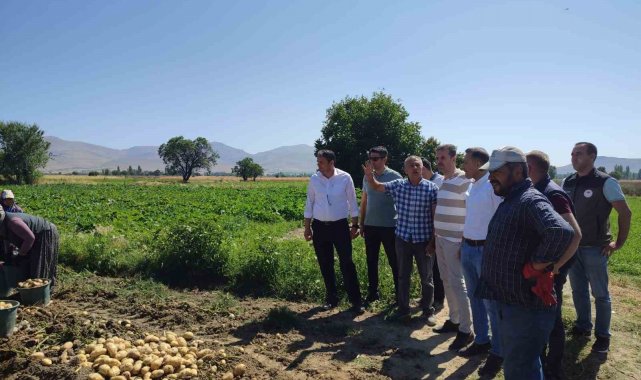 Patateste aşırı yağışlardan dolayı rekolte kaybı yaşandı