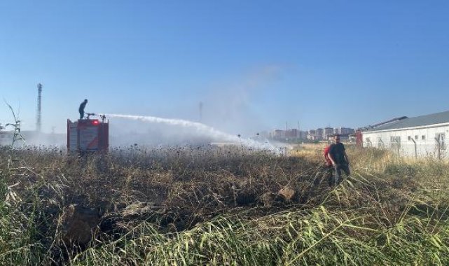 Polis fark etti, 50 dönümlük buğday ekili arazinin yanması önlendi