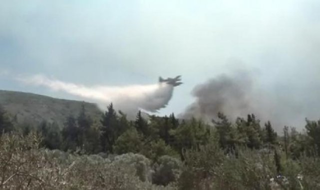 Rodos'ta orman yangınlarıyla mücadele kamerada