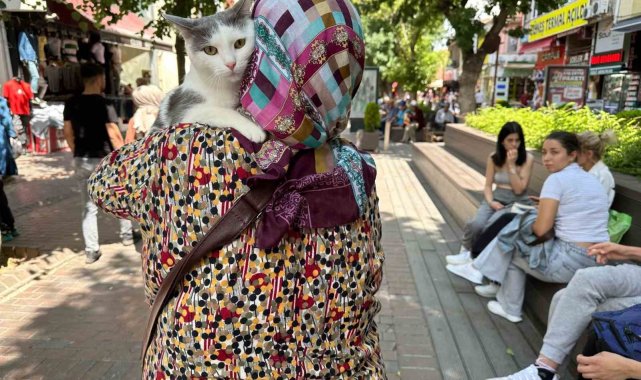 Sahibinin kucağında Eskişehir'i gezen Boncuk ilgi odağı