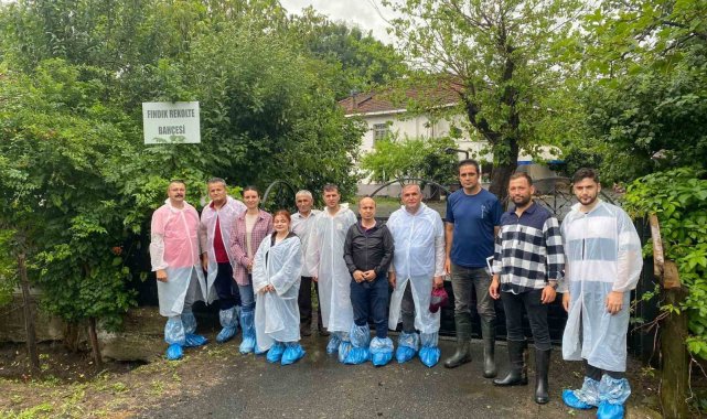 Samsun'da fındık rekolte tespit çalışmaları tamamlandı