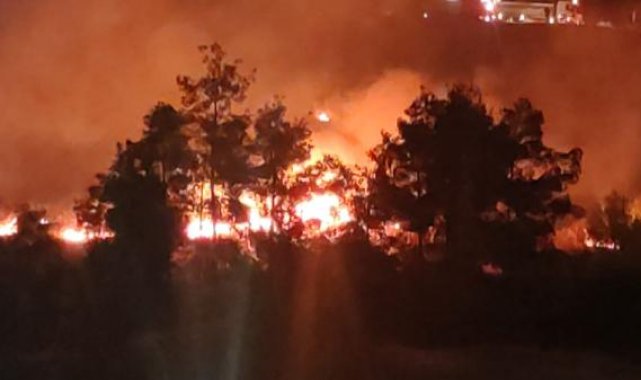 Şanlıurfa'da, piknik alanında korkutan anız yangını