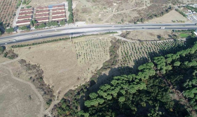 Şehzadeler'e yeni piknik alanı müjdesi