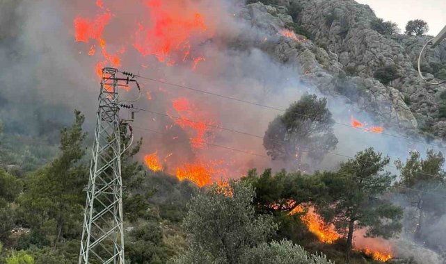 Seydikemer'de orman yangını