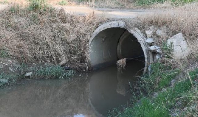 Silivri Elmalık Deresi'nde kötü koku ve sinek şikayeti