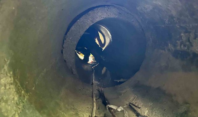 Sinop'ta kuyuya düşen koyun kurtarıldı