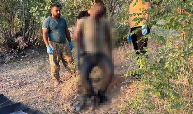 Şırnak'ta iple ağaca asılmış, işkence görmüş erkek cesedi bulundu
