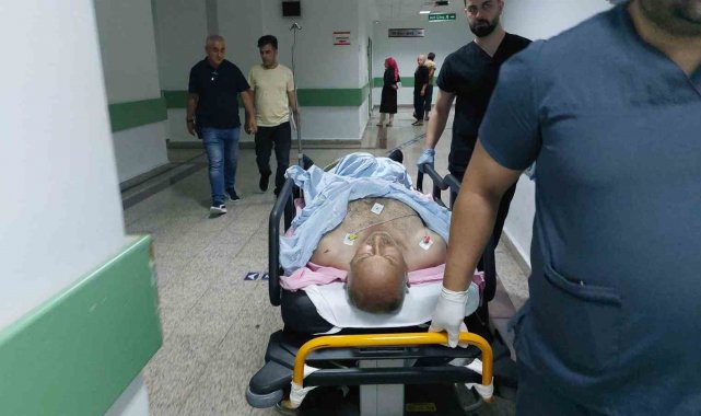 Sokak kedilerini kovduğu için bıçaklı saldırıda ağır yaralandı