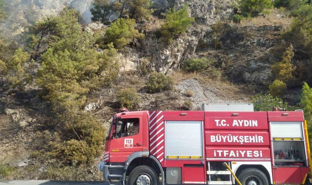 Söke'deki yangında itfaiye ekipleri alevlerle mücadele etti