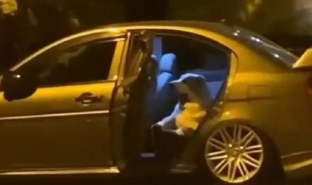 Sultangazi'de otomobili köpek işgal etti, yanına kimseyi yaklaştırmadı
