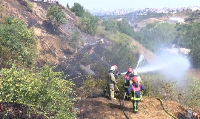 Sultangazi'de ağaçlara sıçrayan yangında 3 ev tahliye edildi