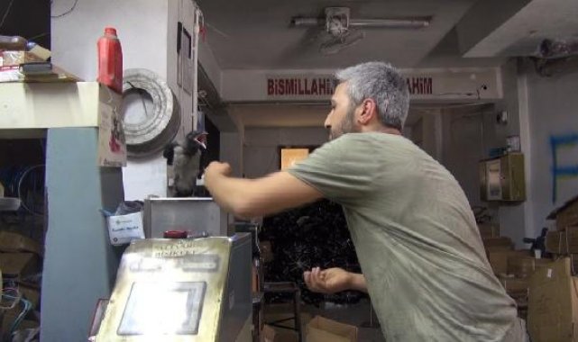 Sultangazi'de beslediği yavru kargayla sokaklarda geziyor tuvaletini yap dediğinde yapıyor