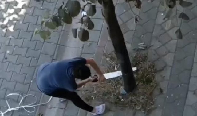 Sultangazi'de testere ile ağacı kesmeye çalıştı
