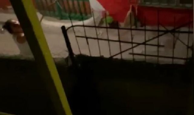 Sultangazi'de yavru köpeği sopayla dövdü, tepki gösterenleri tehdit etti