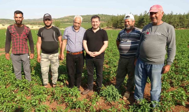 Suya kavuşan köyde arazi fiyatları değerlendi, geri dönüşler başladı