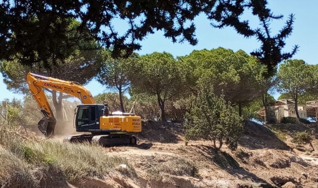 Tabiat alanında, kepçe ve hızarlı "temizlik", doğaseverlerin tepkisini çekti
