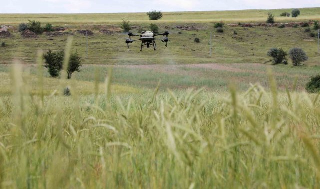 Talas'ta drone ile ilaçlama devri