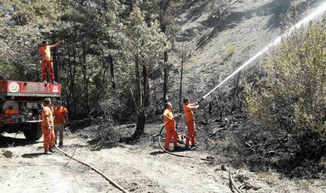Taraklı'da çıkan orman yangınında soğutma çalışması sürüyor