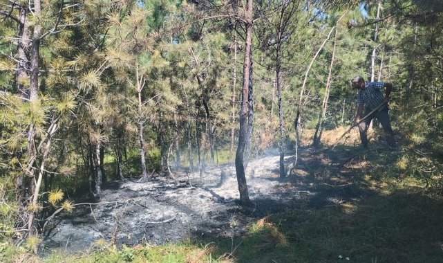 Taşköprü ve Tosya'da çıkan orman yangınları büyümeden söndürüldü