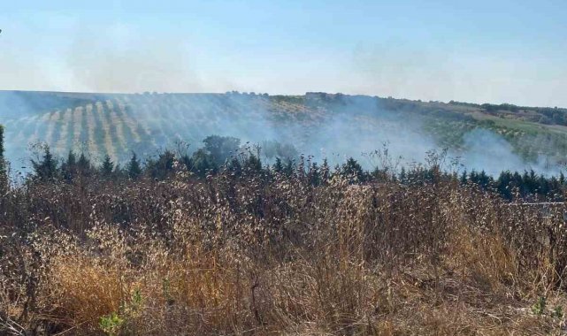 Tekirdağ'da bir çiftlikte çıkan yakın ekiplerce söndürüldü