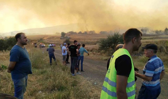 Tekirdağ'daki orman yangını balya makinasındaki kıvılcımla çıkmış
