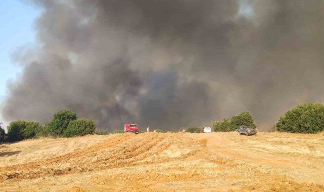 Tekirdağ'daki orman yangını yerleşim yerlerini tehdit ediyor