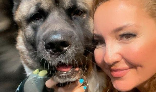 Tekmelediği köpek öldü, serbest kaldı; saldırı anı kamerada