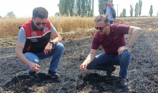 Tepebaşı İlçe Tarım Müdürlüğü yangın çıkan tarlalarda inceleme yaptı