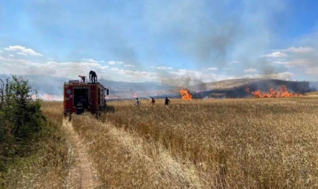 Tokat'ta 15 dönüm buğday tarlası kül oldu