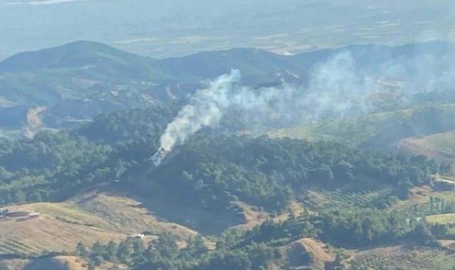 Turgutlu'da 2 dönüm orman yandı