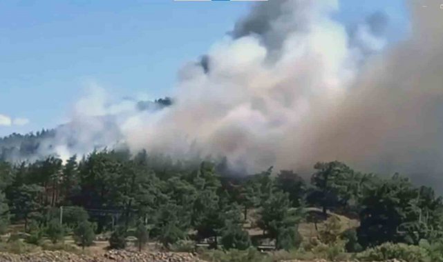 Ula'da orman yangını