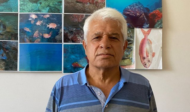Vatandaşların köpek balığı sanıp taşladığı balık için uzmanından açıklama: "Korkmayın"