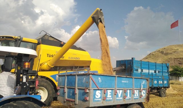 Yavuzeli'nde buğday ve arpa hasadı sürüyor