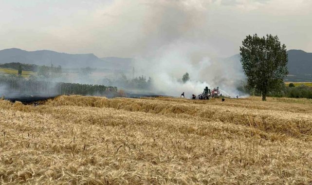 Yenipazar'da ekin tarlarında peş peşe yangın