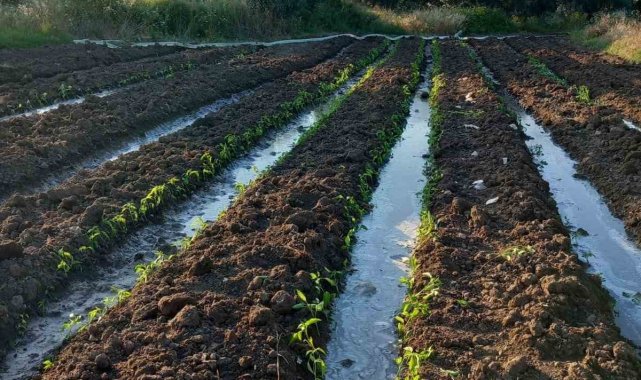 YK Enerji, bin dönümlük tarım arazisinin sulama sorununu çözdü