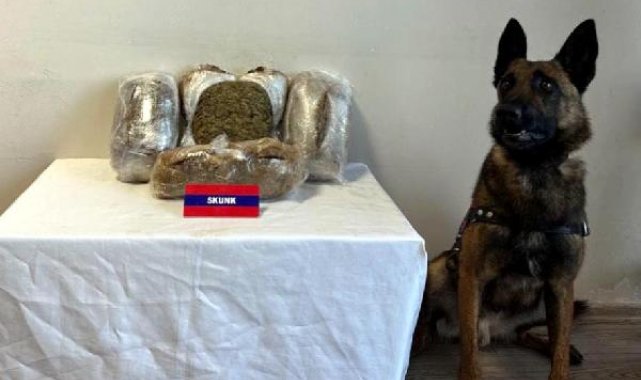 Yolcu otobüsündeki 5 kilo uyuşturucuyu 'Bıçak' buldu; 5 gözaltı