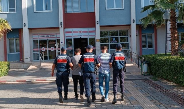 Zeytinyağı hırsızları, kıskıvrak yakalandı
