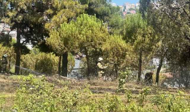 15 Temmuz Şehitler Köprüsü yakınları ile Büyükçekmece'de otluk alan yangını