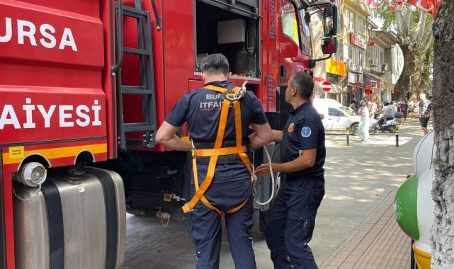 152 yıllık anıt ağaçta mahsur kalan kuş itfaiye ekipleri tarafından kurtarıldı