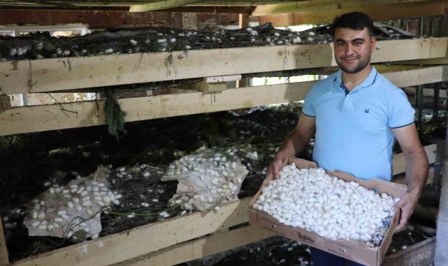 20 metrekare alanda 40 kilo yetişiyor: Kilosu 400 TL