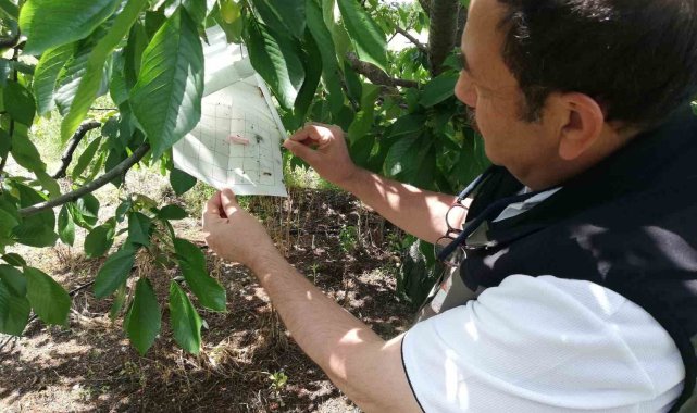 Afyonkarahisar'da ürün kontrolleri devam ediyor