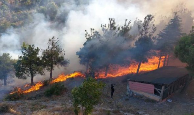 Amasya'da Harşena Kalesi yakınında orman yangını